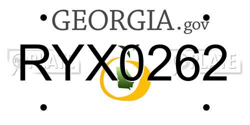 RYX0262 Georgia License Plate