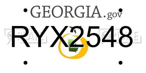 RYX2548 Georgia License Plate