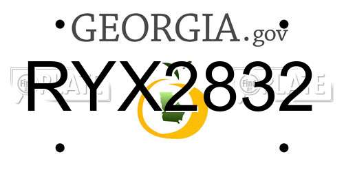 RYX2832 Georgia License Plate