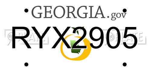 RYX2905 Georgia License Plate