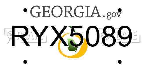 RYX5089 Georgia License Plate