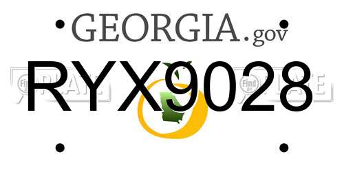 RYX9028 Georgia License Plate