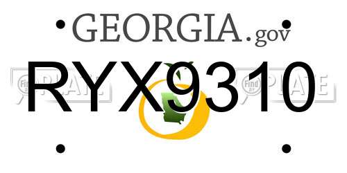 RYX9310 Georgia License Plate