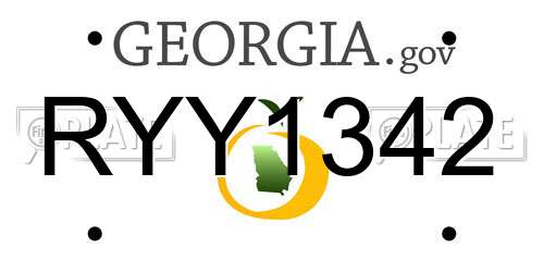 RYY1342 Georgia License Plate