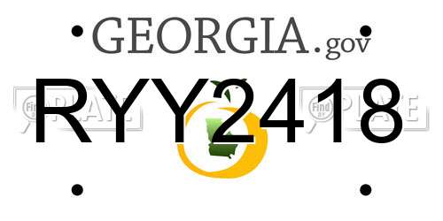 RYY2418 Georgia License Plate