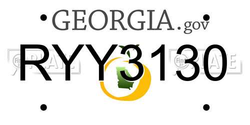RYY3130 Georgia License Plate