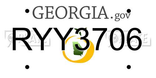RYY3706 Georgia License Plate