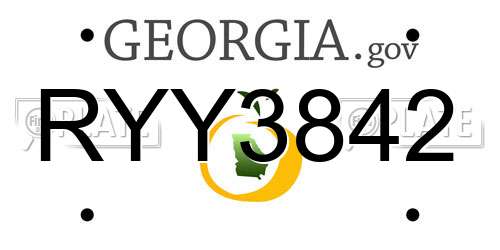 RYY3842 Georgia License Plate