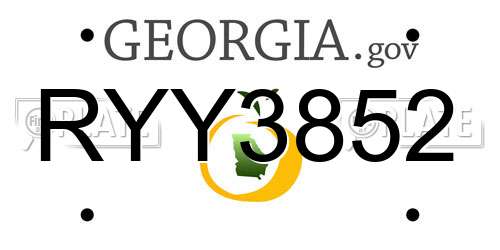 RYY3852 Georgia License Plate