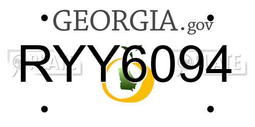 RYY6094 Georgia License Plate