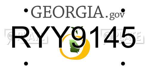 RYY9145 Georgia License Plate