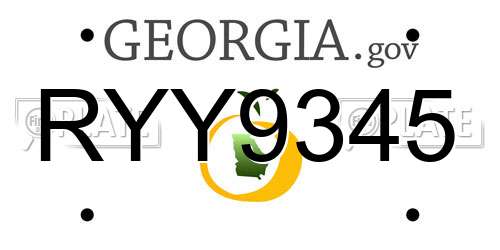 RYY9345 Georgia License Plate