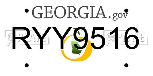 RYY9516 Georgia License Plate