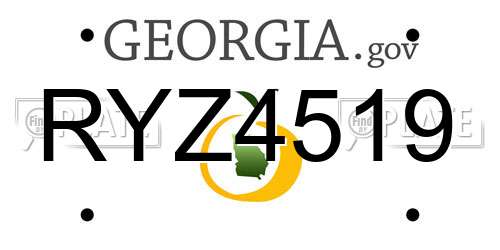 RYZ4519 Georgia License Plate