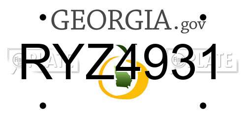 RYZ4931 Georgia License Plate