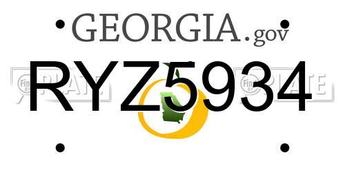 RYZ5934 Georgia License Plate