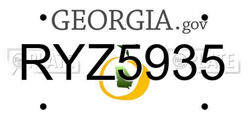 RYZ5935 Georgia License Plate