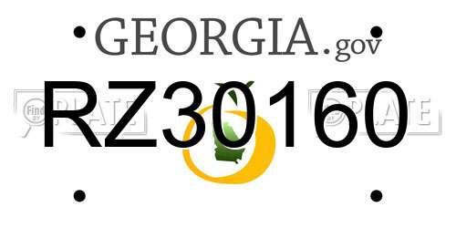 RZ30160 Georgia License Plate