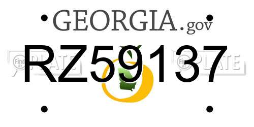 RZ59137 Georgia License Plate