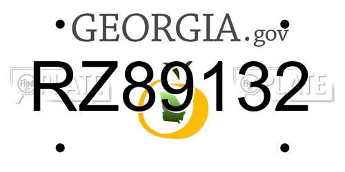 RZ89132 Georgia License Plate