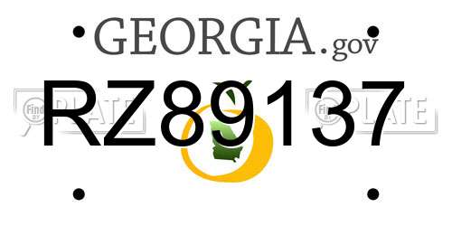 RZ89137 Georgia License Plate
