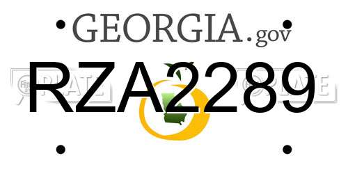 RZA2289 Georgia License Plate