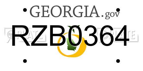RZB0364 Georgia License Plate