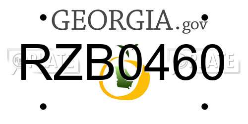 RZB0460 Georgia License Plate