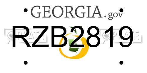 RZB2819 Georgia License Plate