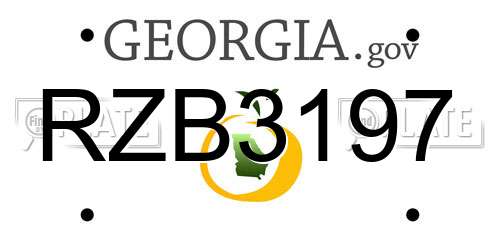 RZB3197 Georgia License Plate