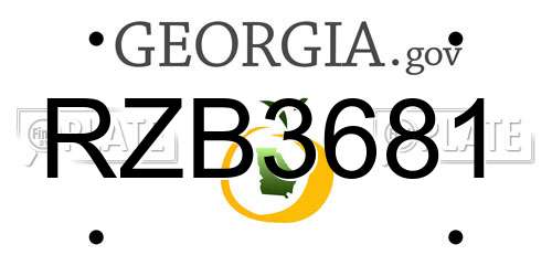 RZB3681 Georgia License Plate