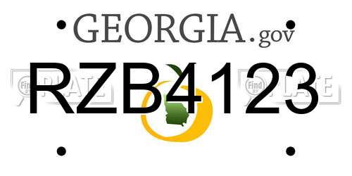 RZB4123 Georgia License Plate