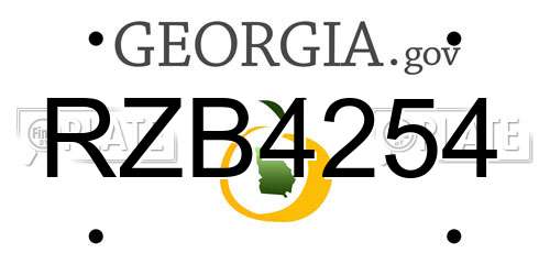 RZB4254 Georgia License Plate