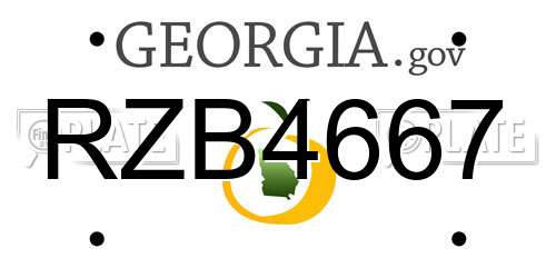 RZB4667 Georgia License Plate