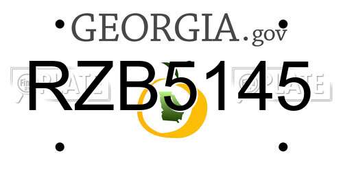 RZB5145 Georgia License Plate