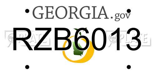 RZB6013 Georgia License Plate