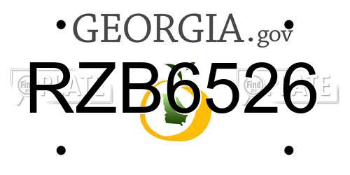 RZB6526 Georgia License Plate