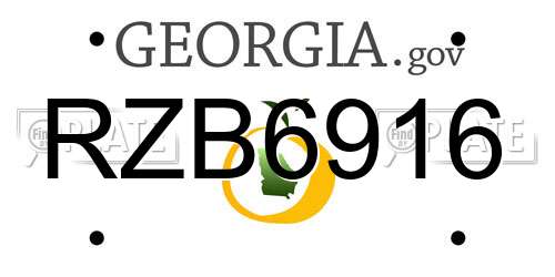 RZB6916 Georgia License Plate