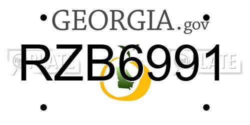 RZB6991 Georgia License Plate
