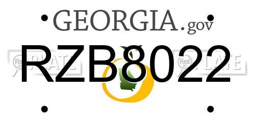 RZB8022 Georgia License Plate