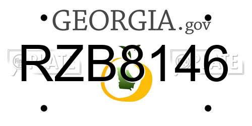 RZB8146 Georgia License Plate