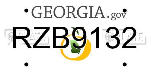 RZB9132 Georgia License Plate
