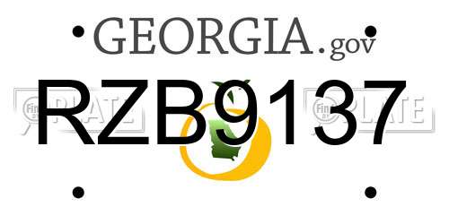 RZB9137 Georgia License Plate