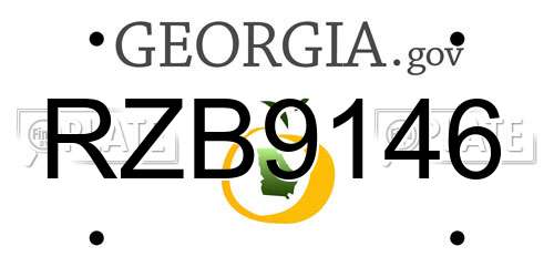 RZB9146 Georgia License Plate