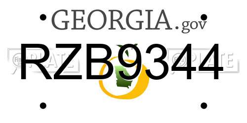 RZB9344 Georgia License Plate