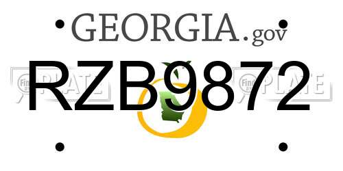 RZB9872 Georgia License Plate