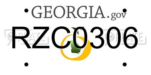 RZC0306 Georgia License Plate
