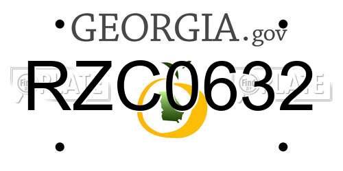 RZC0632 Georgia License Plate