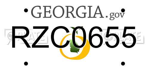 RZC0655 Georgia License Plate