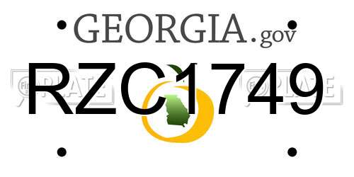 RZC1749 Georgia License Plate